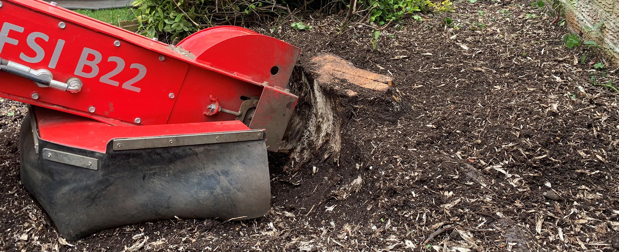 Tree Stump Grinding & Removal