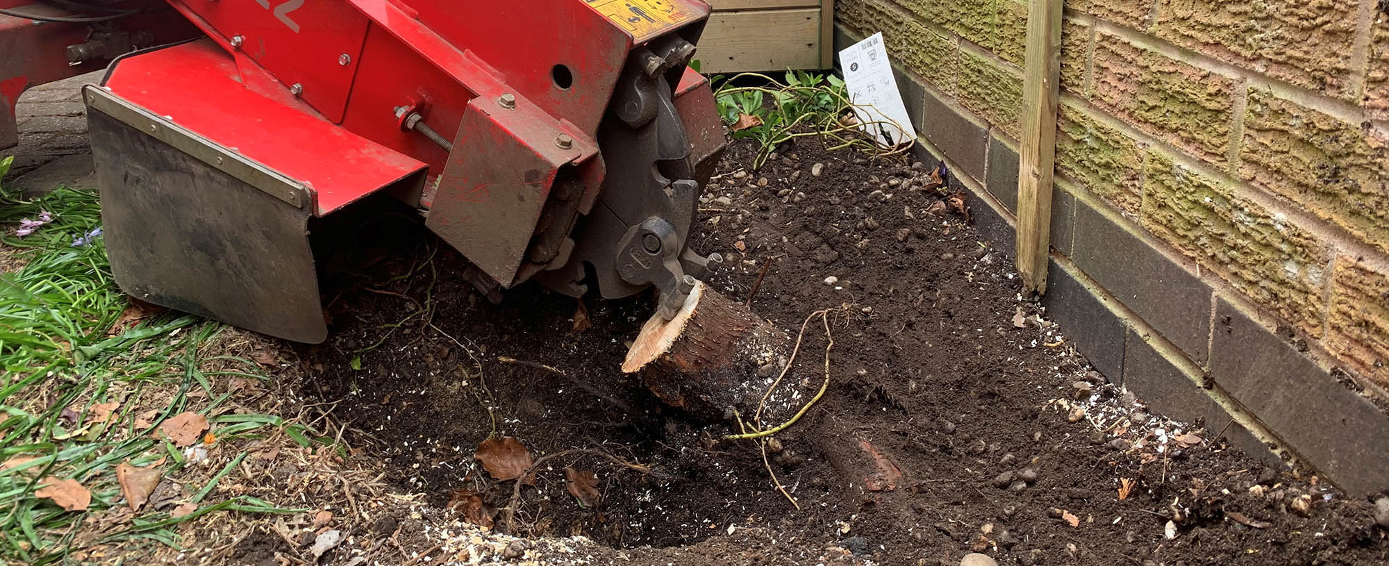 Tree Stump Grinding & Removal
