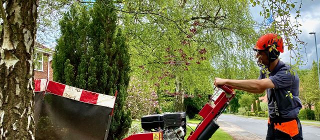 Nottingham Stump Grinding visit Southwell