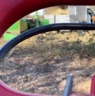 Click Here To Enlarge This Photo Of Dying Malus