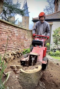 Click Here To Enlarge This Photo Of Stumps next to Southwell Minster