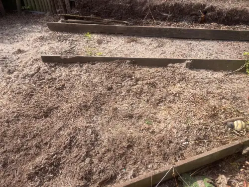 Click Here To Enlarge This Photo Of Stump Grinding Southwell &vert; Tree Stump Removal &vert; Nottingham Stump Grinding