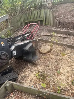 Click Here To Enlarge This Photo Of Stump Grinding Southwell &vert; Tree Stump Removal &vert; Nottingham Stump Grinding