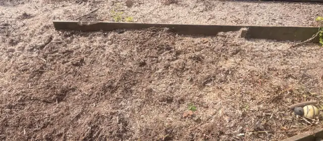 Stump Grinding Southwell &vert; Tree Stump Removal &vert; Nottingham Stump Grinding
