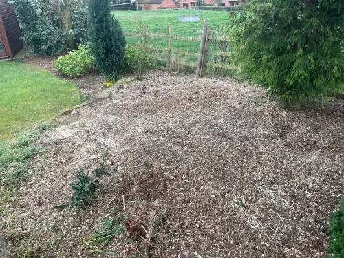 Click Here To Enlarge This Photo Of Stump Grinding Woodborough &vert; Conifer Stump Removal &vert; Nottingham Stump Grinding