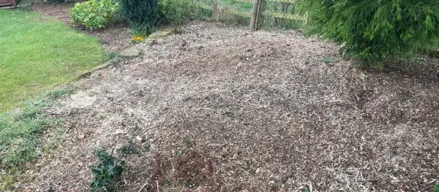Stump Grinding Woodborough &vert; Conifer Stump Removal &vert; Nottingham Stump Grinding