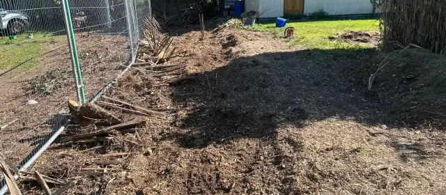Stump Grinding Wilford &vert; School Stump Removal &vert; Nottingham Stump Grinding