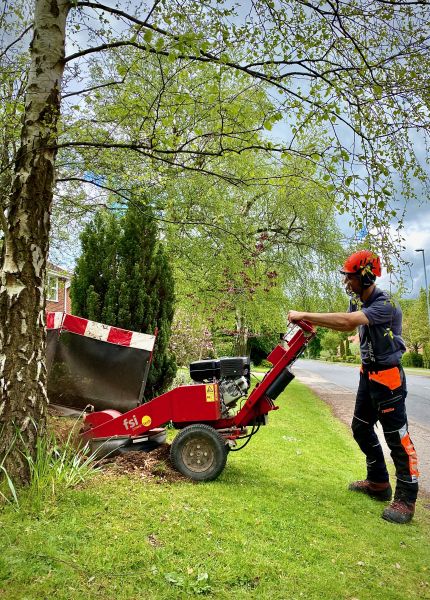Tree Stump Removal, Southwell, Newark & Sherwood: Swipe To View More Images