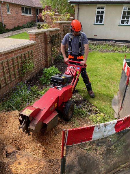 Stump Removal Epperstone: Swipe To View More Images