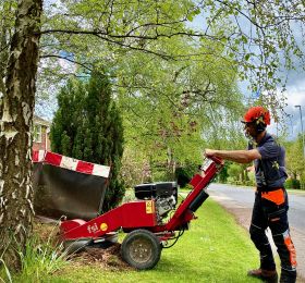 Tree Stump Removal, Southwell, Newark & Sherwood: Click Here To View Larger Image