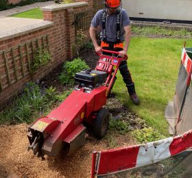 Stump Removal Epperstone: Click Here To View Larger Image